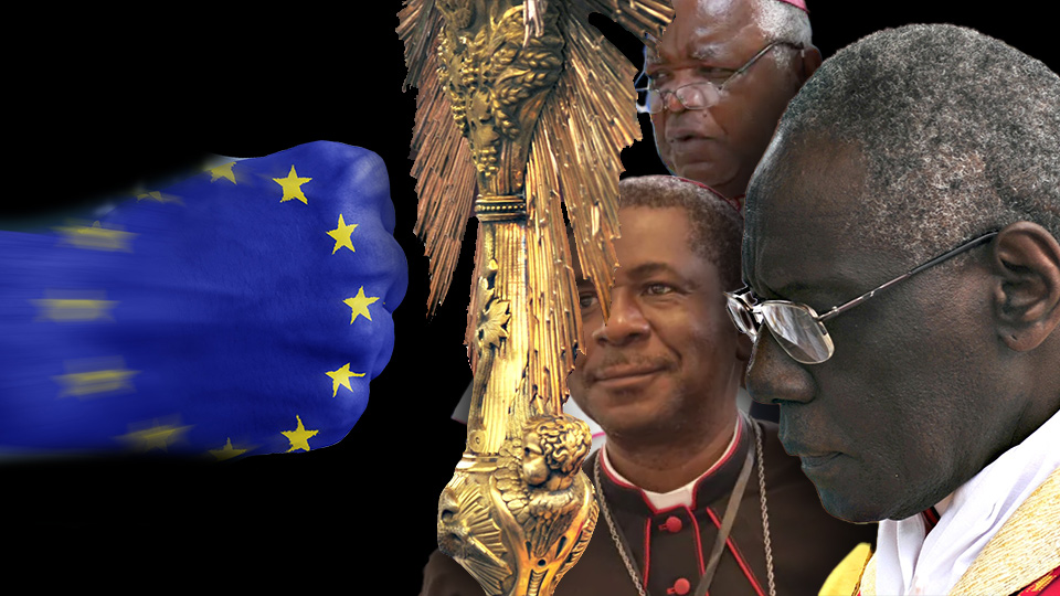 POPE FRANCIS II? Racist Globalists vs African Bishops